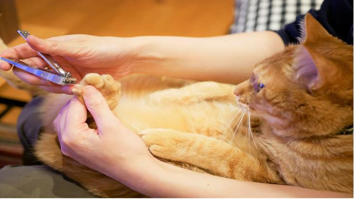 【ドル円】割り切るためのストップ注文・・・たとえ割り切れなくても