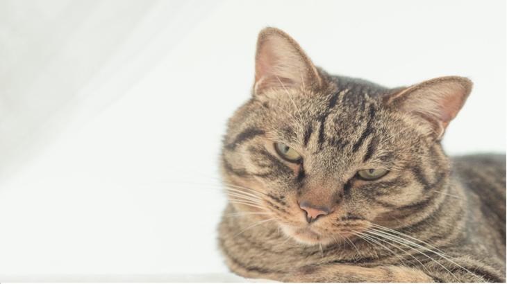 【ドル円】こちらも我慢のとき