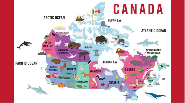 トランプ関税圧力と加ドル